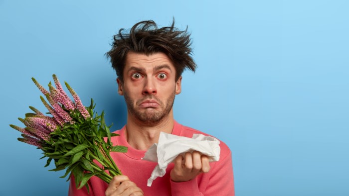 Alergia na pyłki. W jaki spos&oacute;b oczyszczacz powietrza Philips może Ci pom&oacute;c?