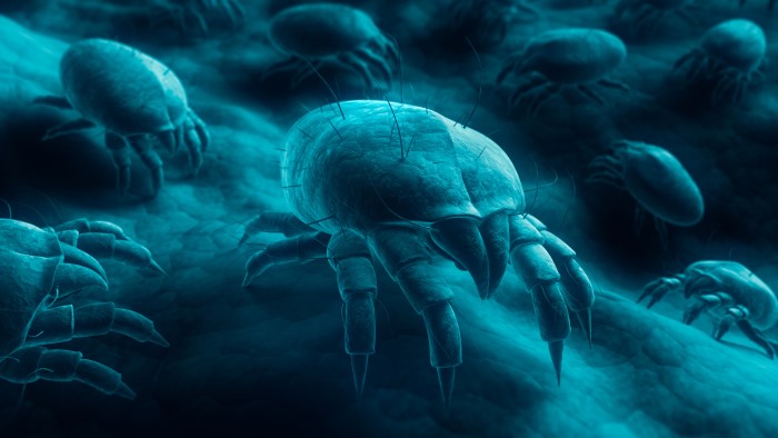 Jak pozbyć się roztoczy kurzu z domu? Poradnik dla alergik&oacute;w