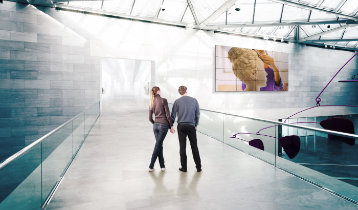 system monitor&oacute;w do prezentacji publicznych